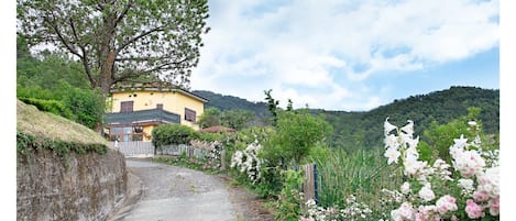 Terrain de l’hébergement 