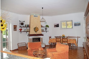 TV, fireplace, books