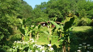Property grounds - Chalet du Moulin de Hinx (Hinx)