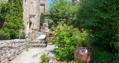 Old renovated barn with covered pool