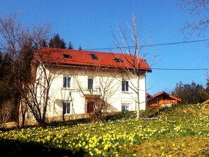 Exterior - Apartment in independent house, quiet, Gérardmer (Xonrupt-Longemer)