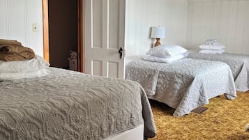 4 bedrooms, iron/ironing board, free WiFi, bed sheets