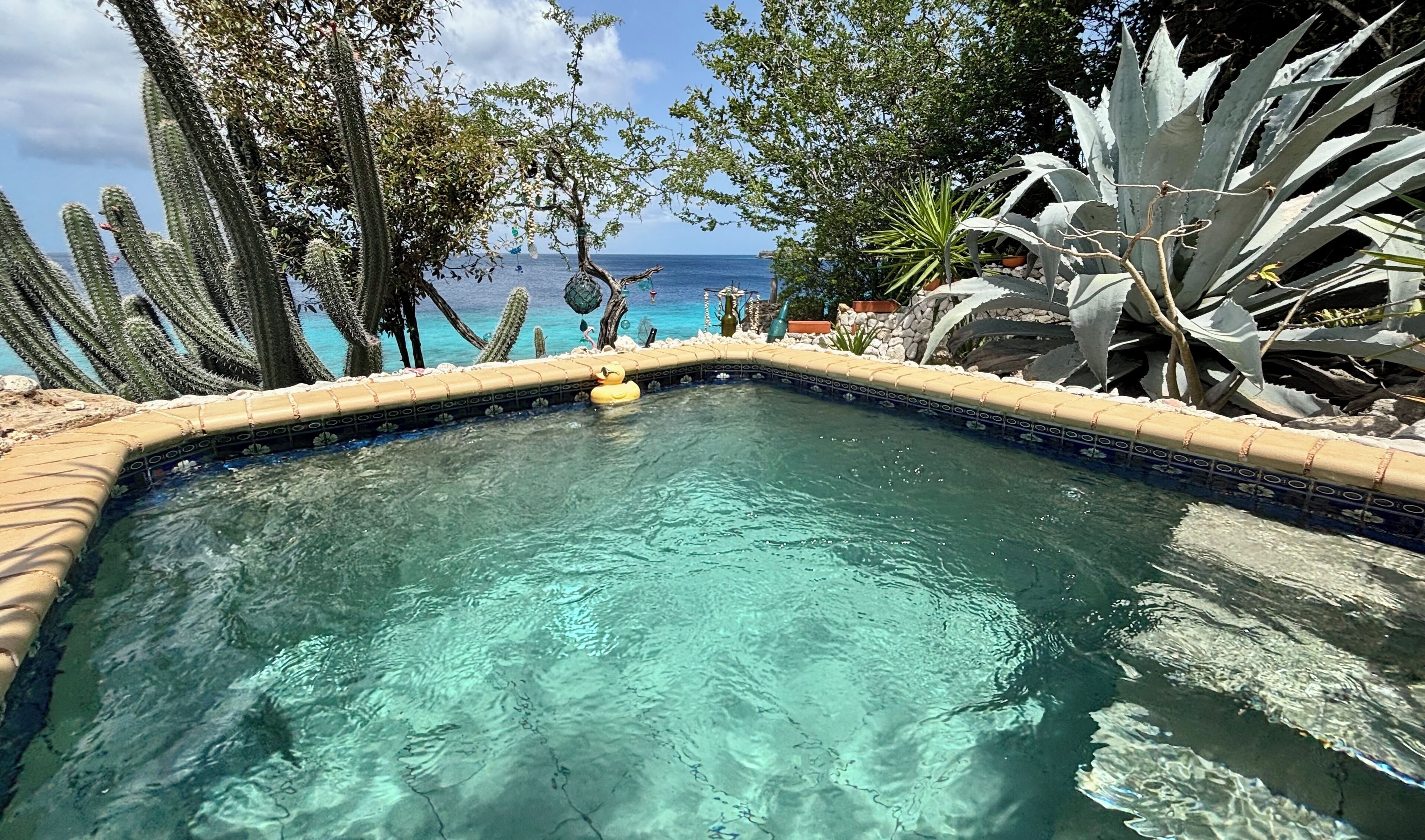 Una piscina azul cristalina rodeada de cactus y plantas, con vista al océano.