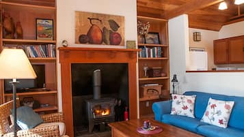 智能电视、壁炉、DVD 播放器、书