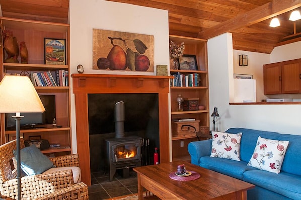 Smart TV, fireplace, DVD player, books