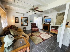 Smart TV, fireplace, DVD player, books