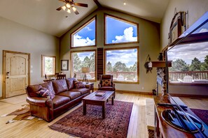 Smart TV, caminetto, lettore DVD