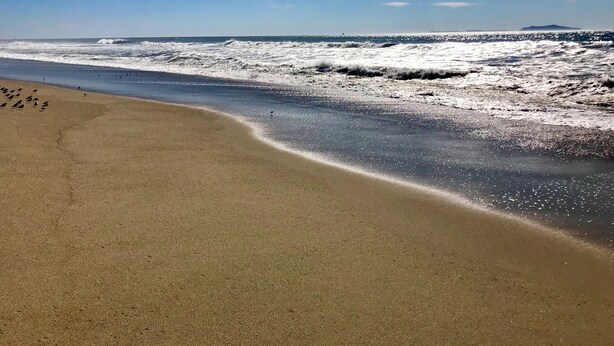 A beach with waves, a clear sky, and a distant island. - Oxnard Beach house two lots from sand! (Oxnard)