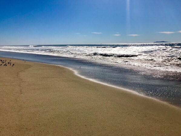 På stranden, solsenger og strandhåndklær