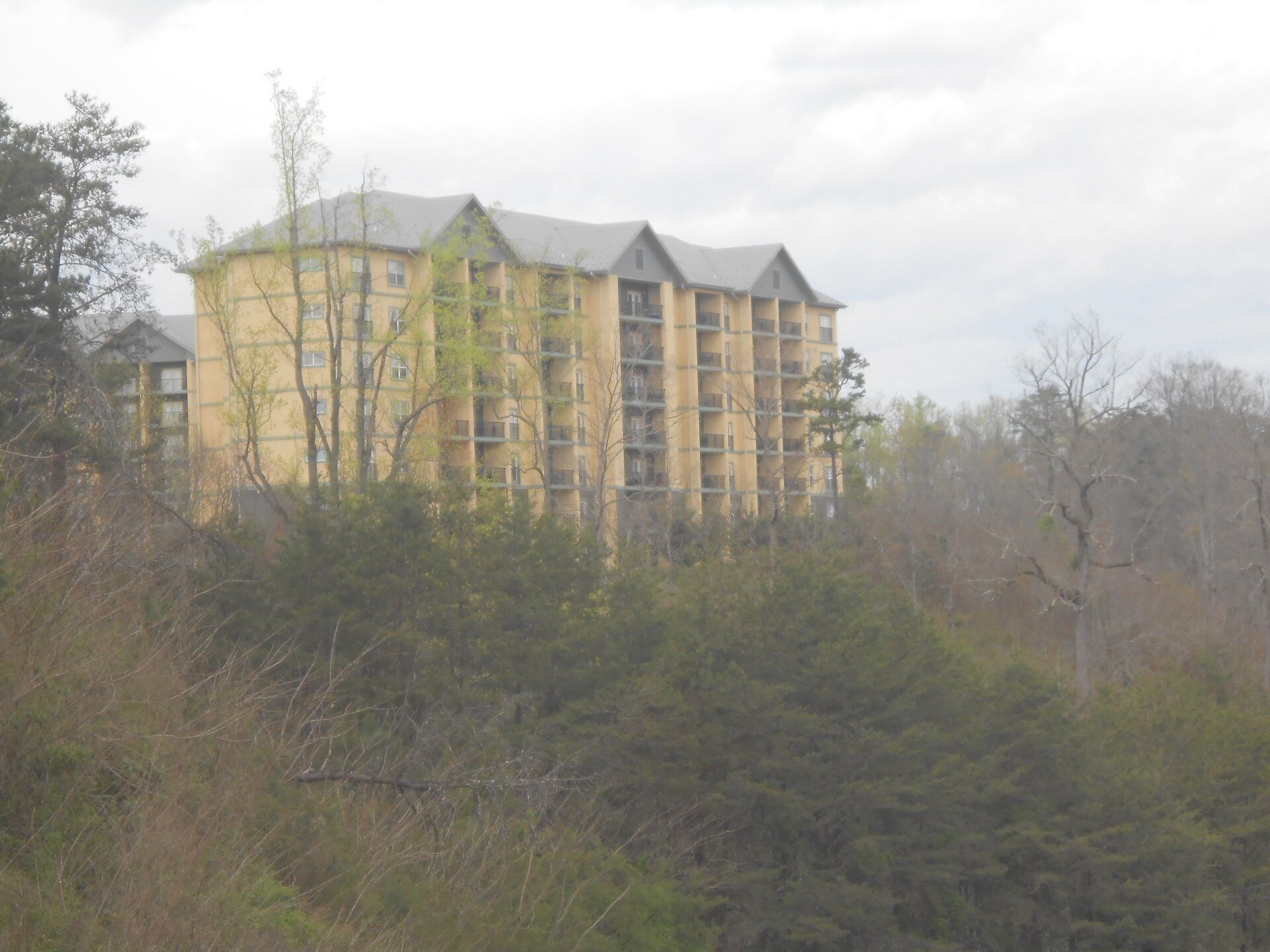 Un edificio de varios pisos con fachada amarilla, rodeado de un bosque denso.