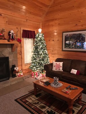 Smart TV, fireplace, video games, DVD player