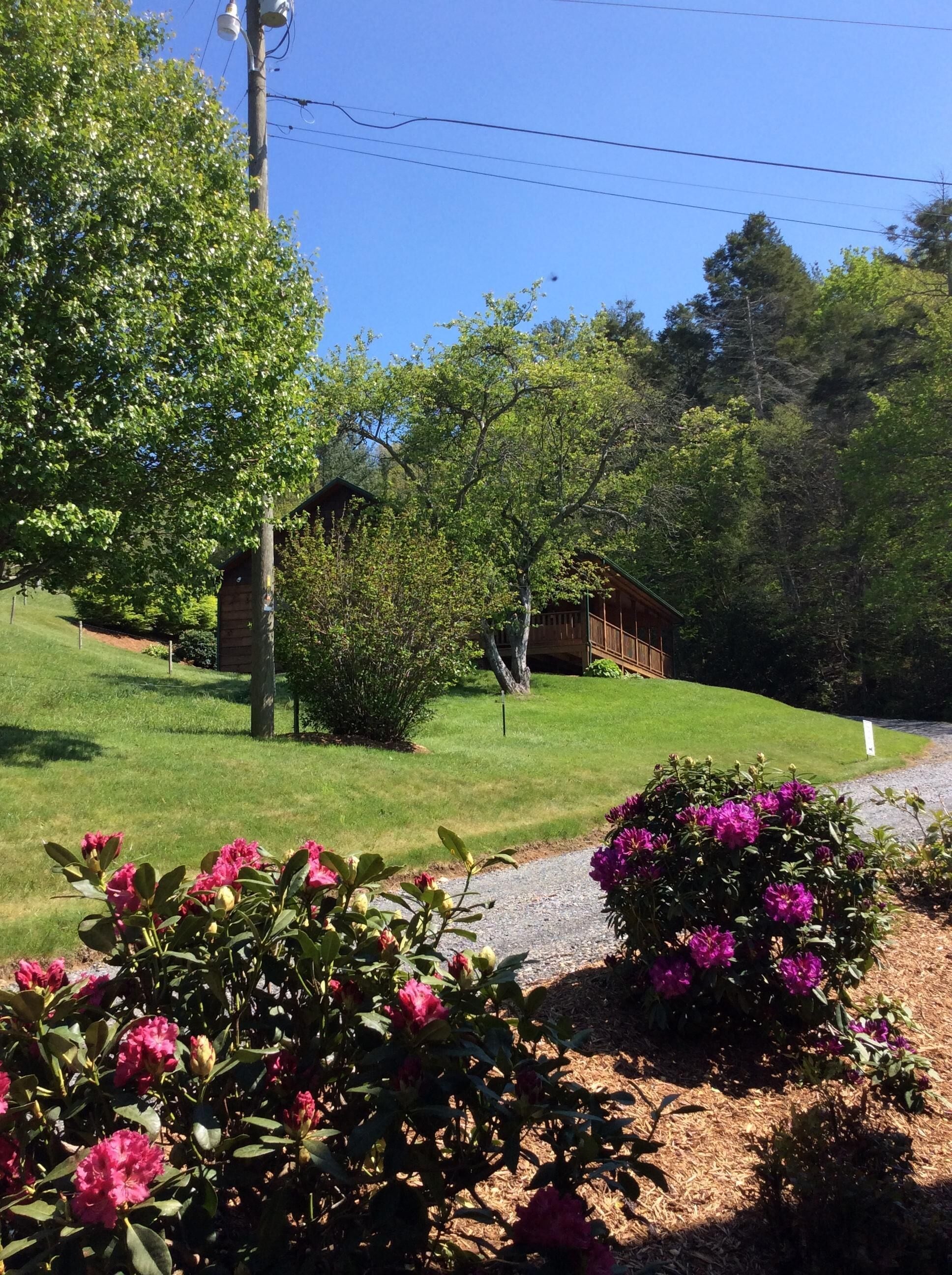 Frances' Cabin  6 minutes to Downtown Immaculately Kept