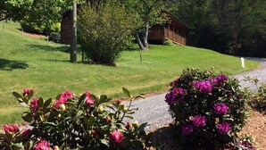 Ein rustikales Blockhaus mit grüner Wiese und blühenden Sträuchern.