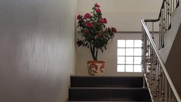 Escaleras