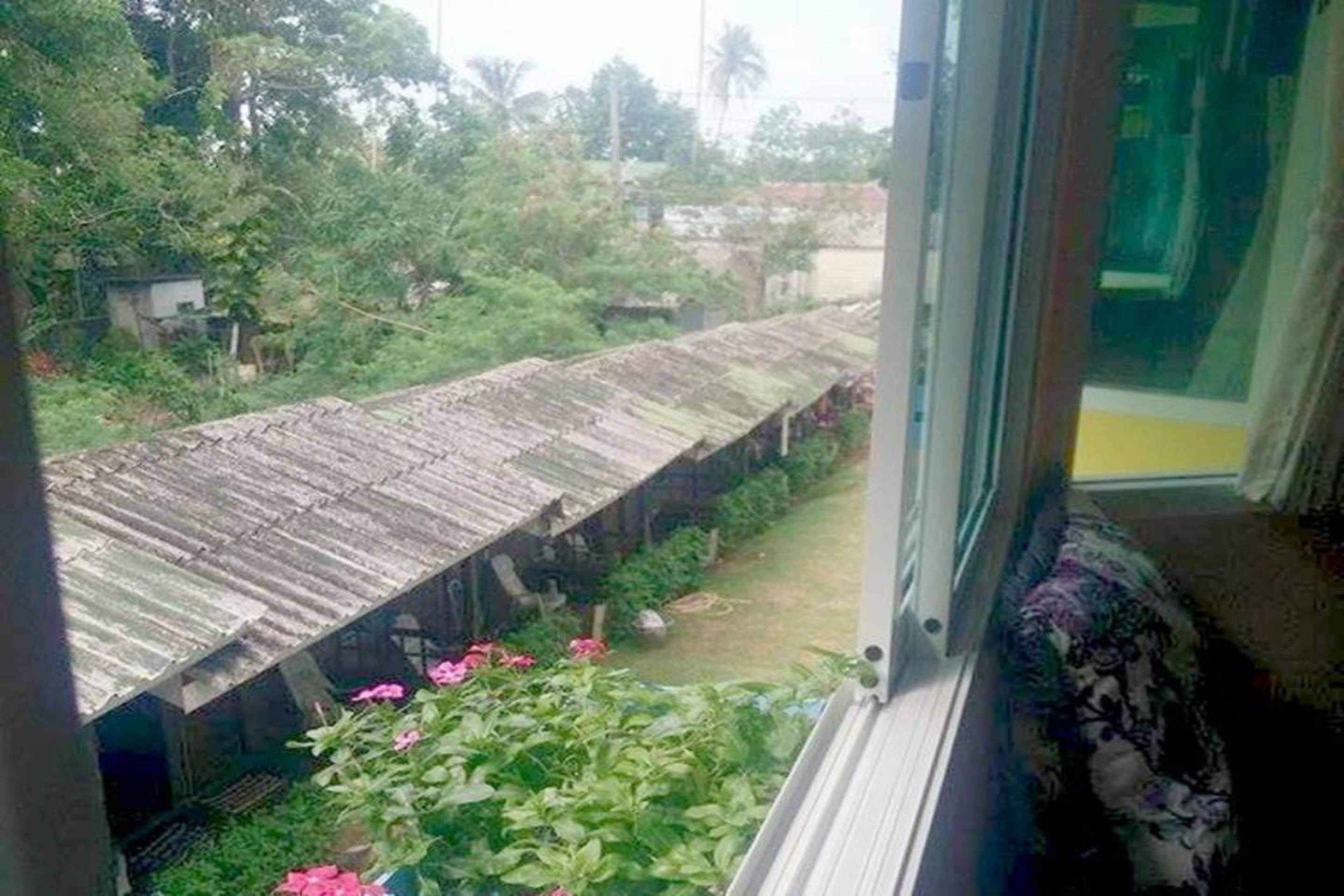 A view through a window of a room with a bed and a window sill with a plant.