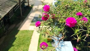 A balcony with a potted plant of pink flowers, a clear view of a street, and a building with a yellow and blue facade. - Arunee Resort Koh Chang (Ko Chang)