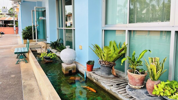 Un edificio con fachada azul, un pequeño estanque con peces y varias plantas en macetas.