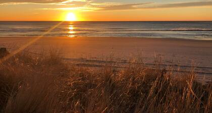 Family-friendly/Fenced-in Yard/2 Short Blocks to the Beach/Pets OK/Golf