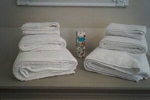 Dusche, Haartrockner, Bidet, Handtücher