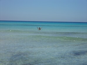 Ranta