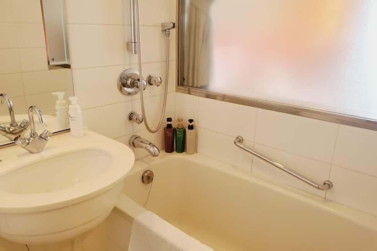 Separate bathtub and shower, free toiletries, hair dryer