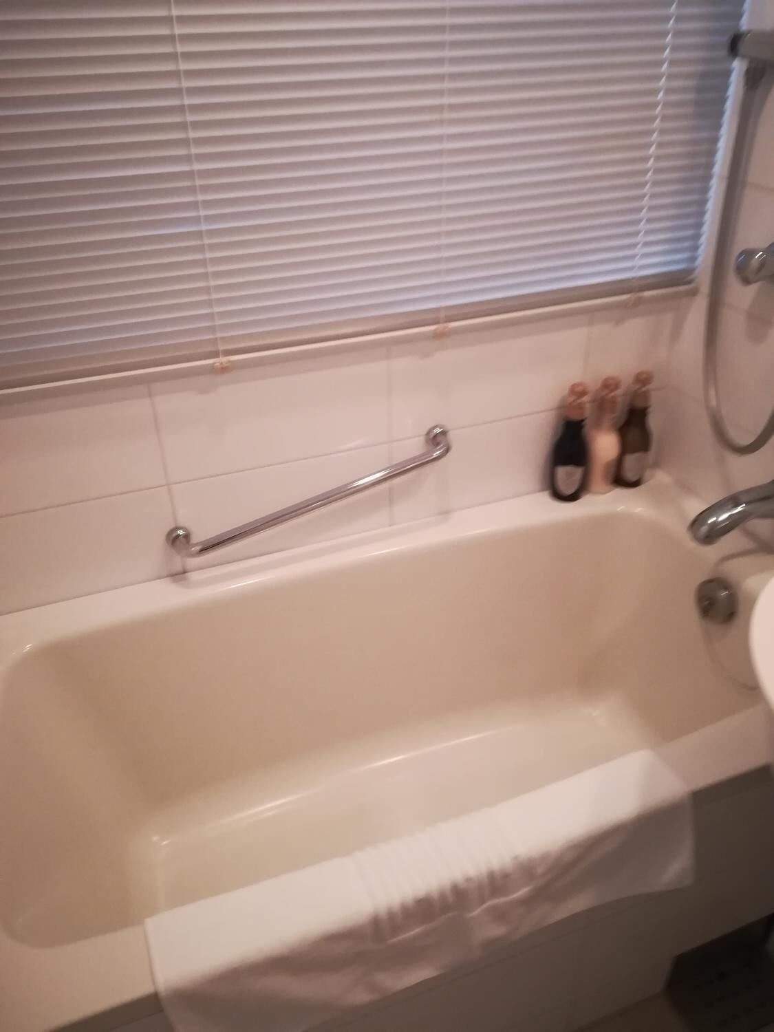 Separate tub and shower, free toiletries, hair dryer, electronic bidet