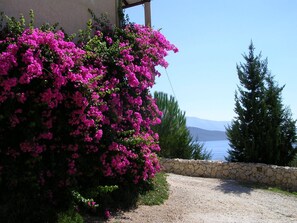 Property grounds - Villa with fantastic sea view and garden, 4 guests (Lygia)