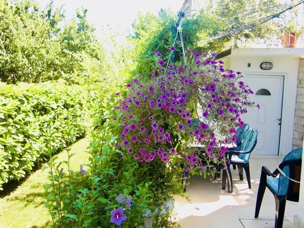 Relax in a serene garden setting with comfortable seating and a beautiful view.