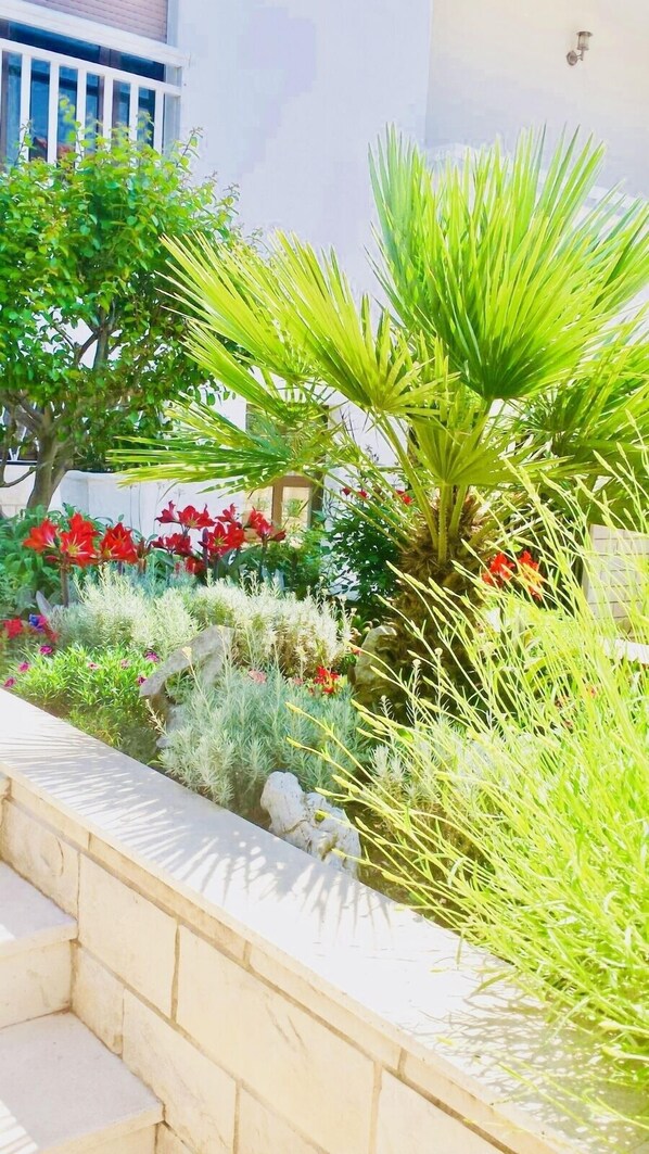 Property grounds - 2 Min. V. Sea / beach, private balcony, free Wi-Fi (Kastel Stafilic)