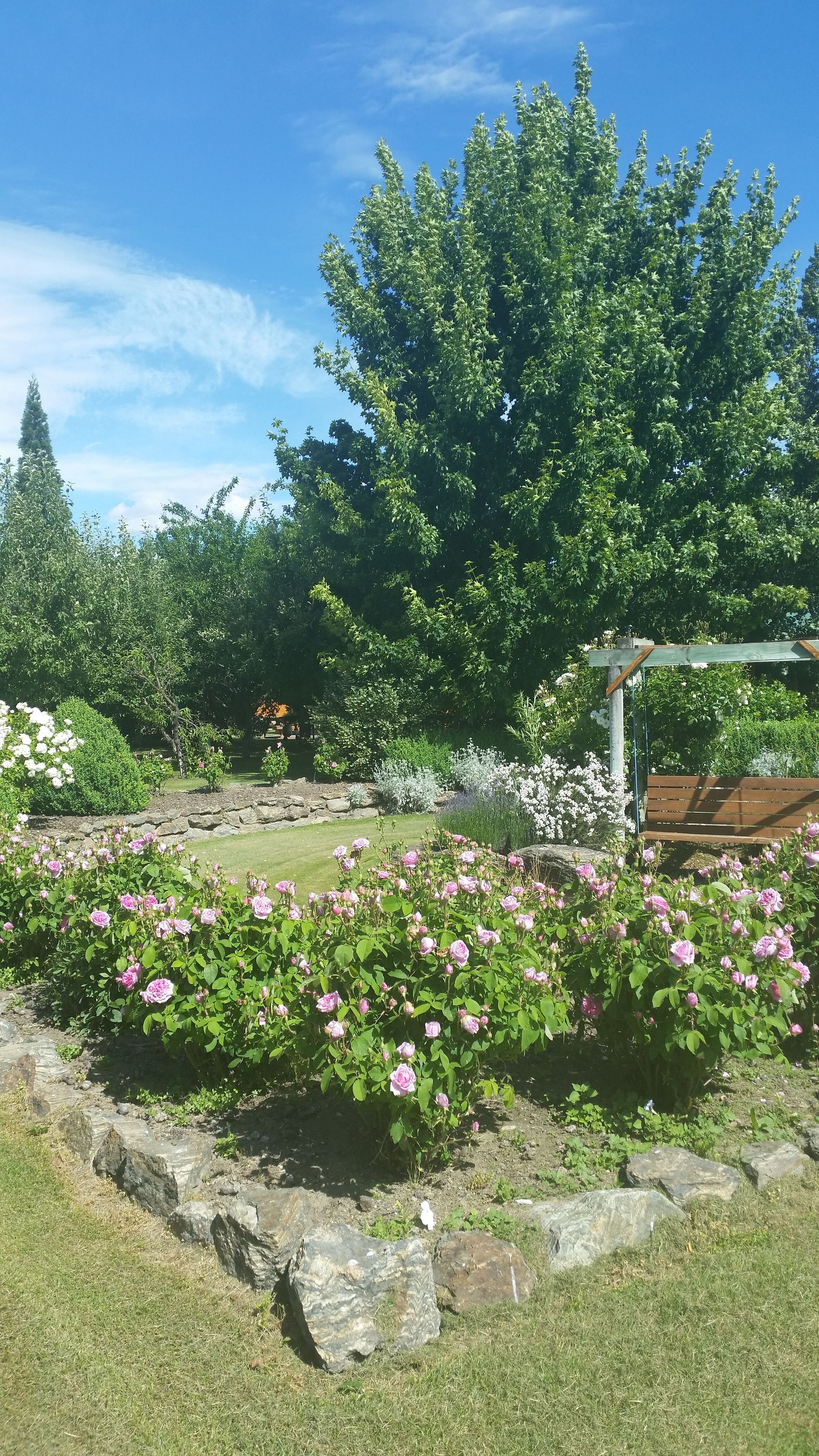 Un jardin avec un sentier en pierre, des fleurs roses et un banc en bois.