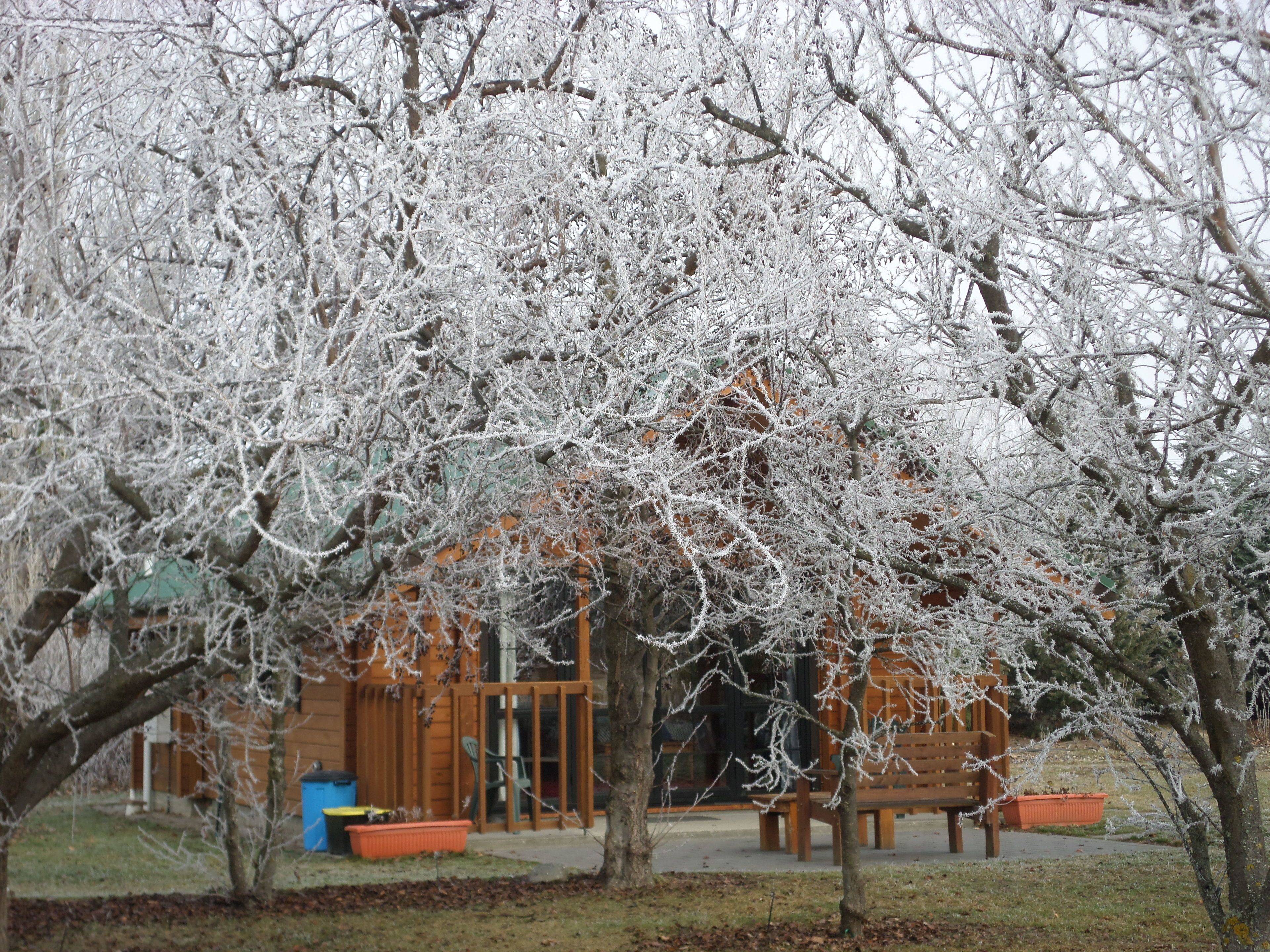 บริเวณภายนอก