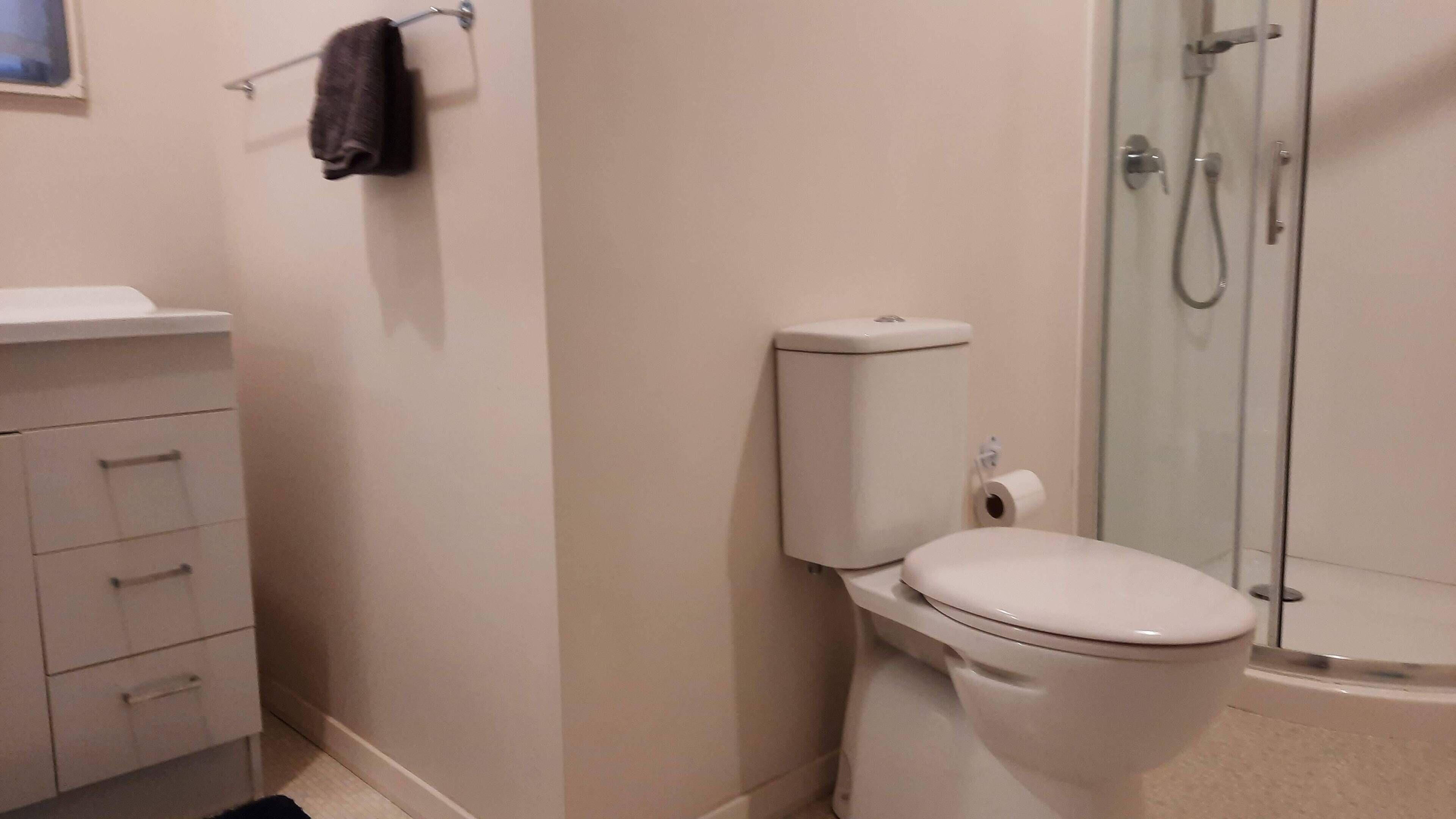 Ein Badezimmer mit Toilette, einer Duschkabine aus Glas und einem weißen Schrank mit Schubladen.