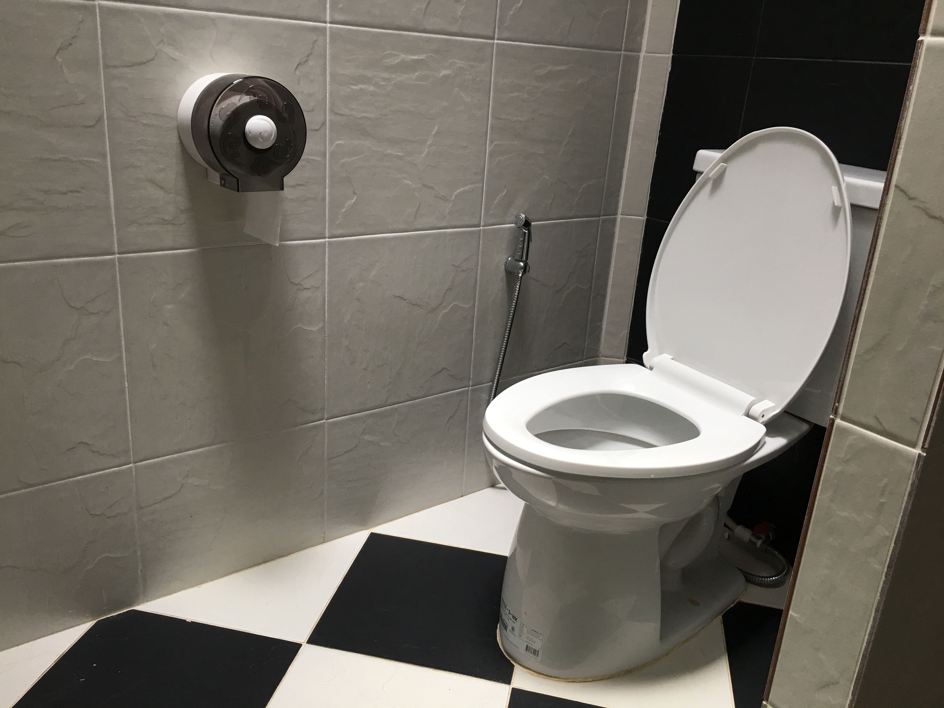 Un baño con inodoro, secamanos y cabezal de ducha.