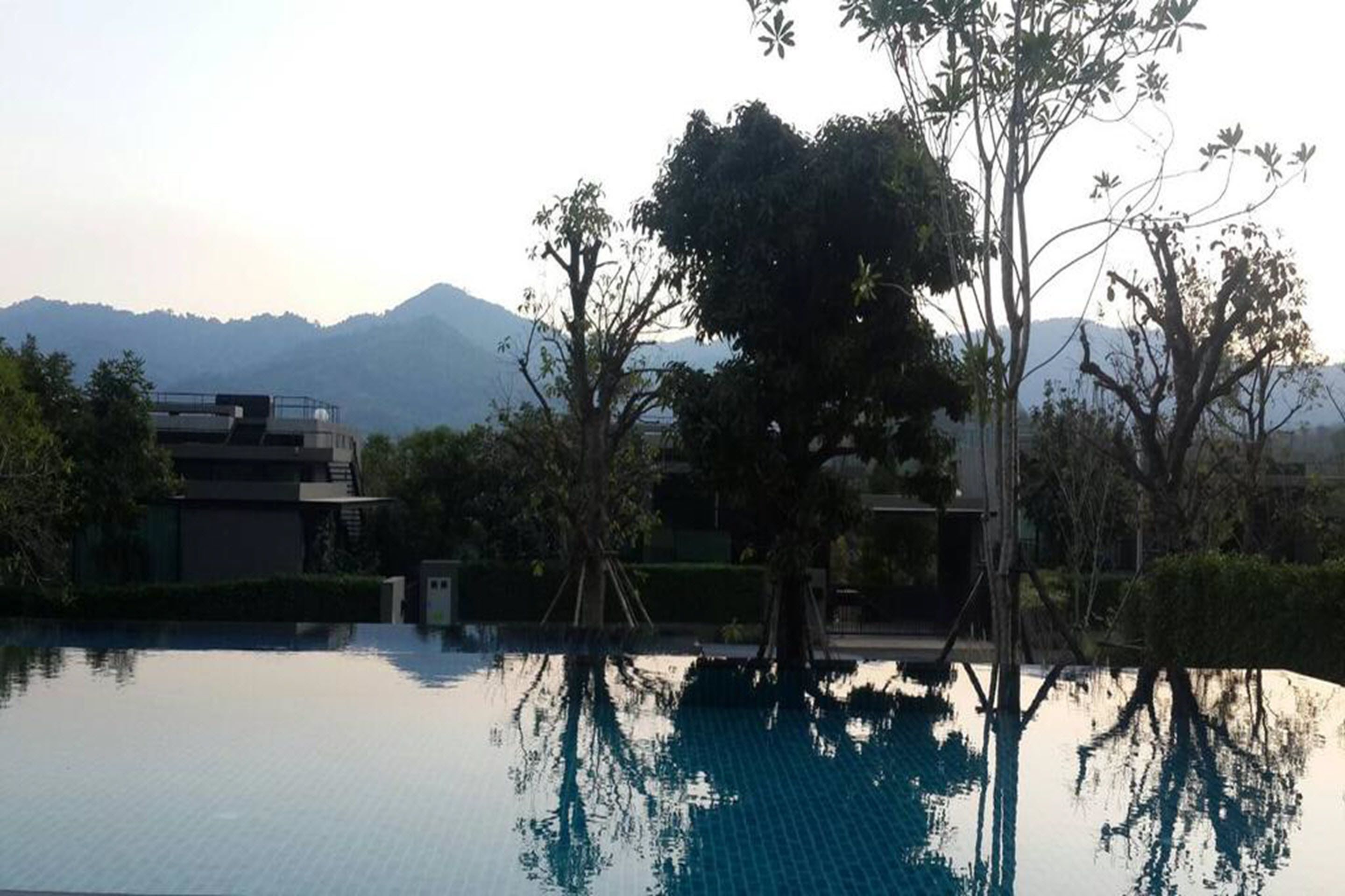 Outdoor pool, pool umbrellas, pool loungers