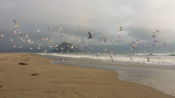 Beach nearby