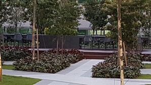 Un parco con panchine, alberi e un vialetto.