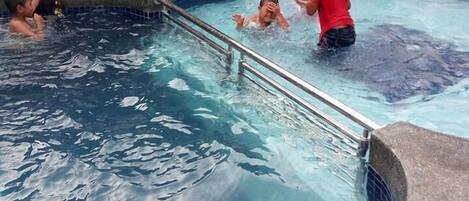 Une piscine à l’eau claire, entourée d’un bâtiment dont l’extérieur est recouvert de carreaux et agrémentée de quelques plantes en pot.