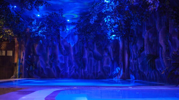 Un área de piscina con temática tropical, rodeada de árboles y follaje artificial.