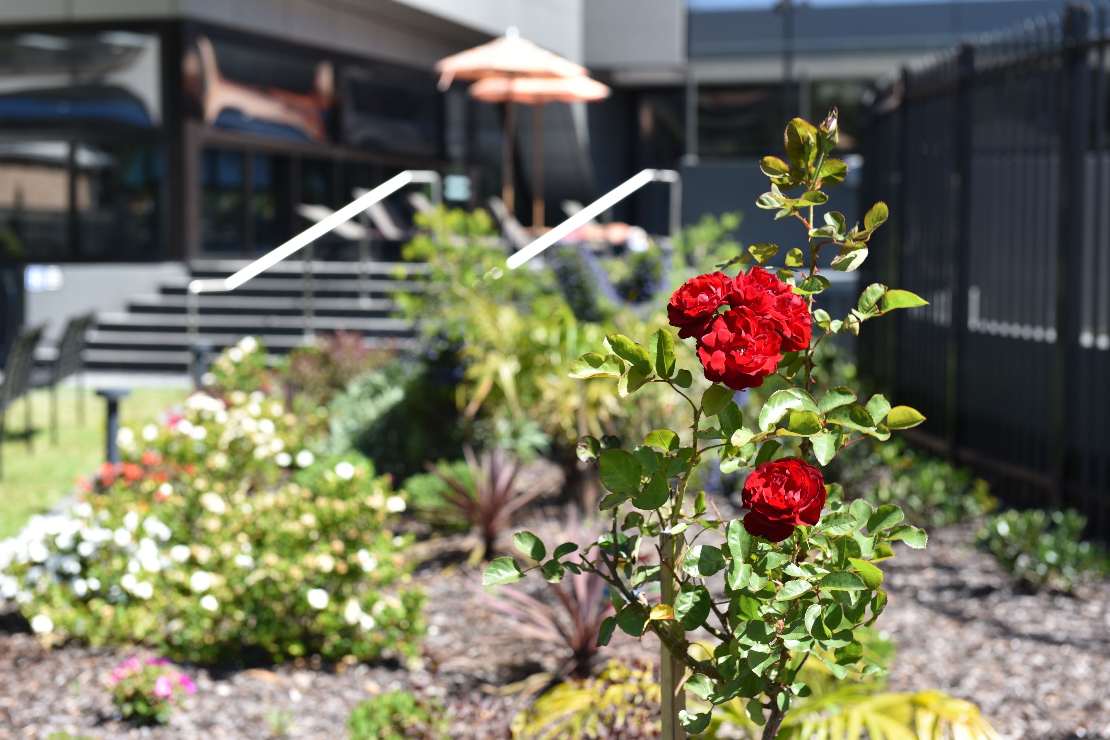 The Branksome Hotel And Residences — image 19