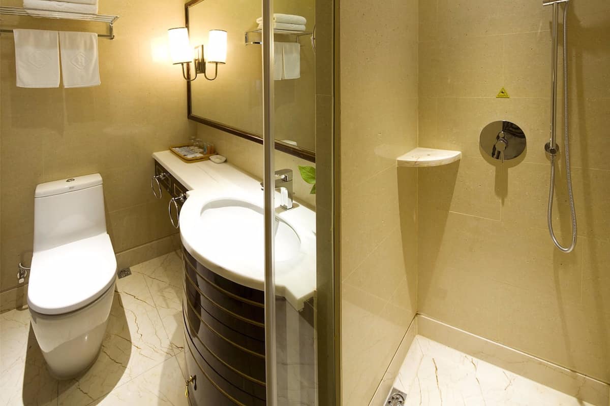 Shower, free toiletries, hair dryer, slippers