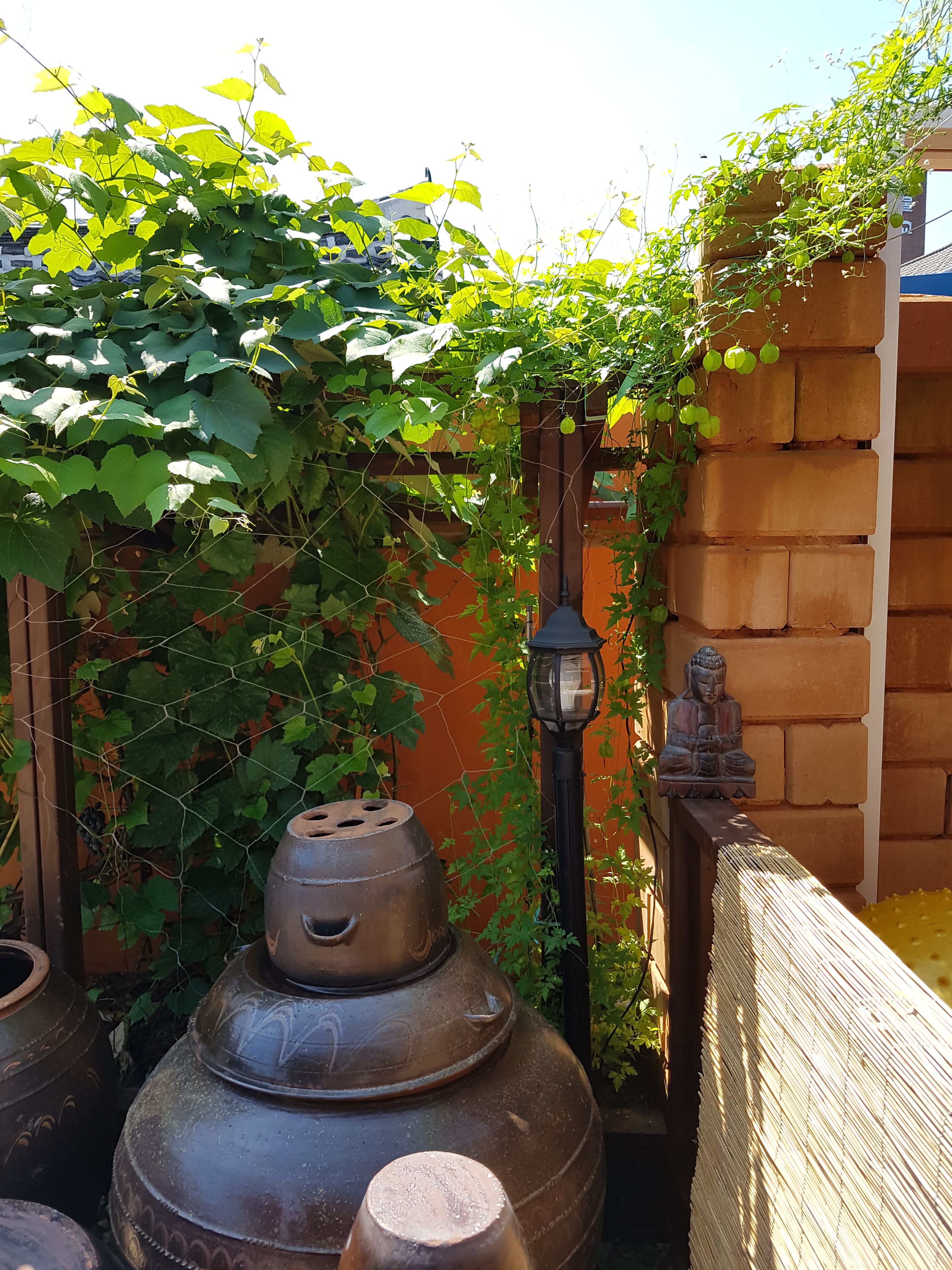 Un jardín con macetas metálicas grandes, una estatua de Buda y un muro de ladrillo.