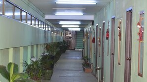 A long, narrow hallway with doors on one side and potted plants on the other.