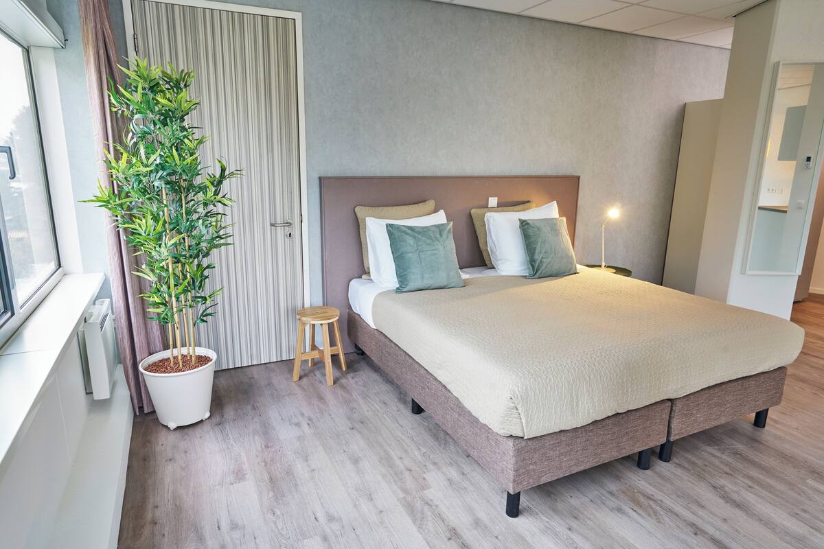 Un dormitorio moderno con una cama grande, una planta en maceta y un taburete pequeño.