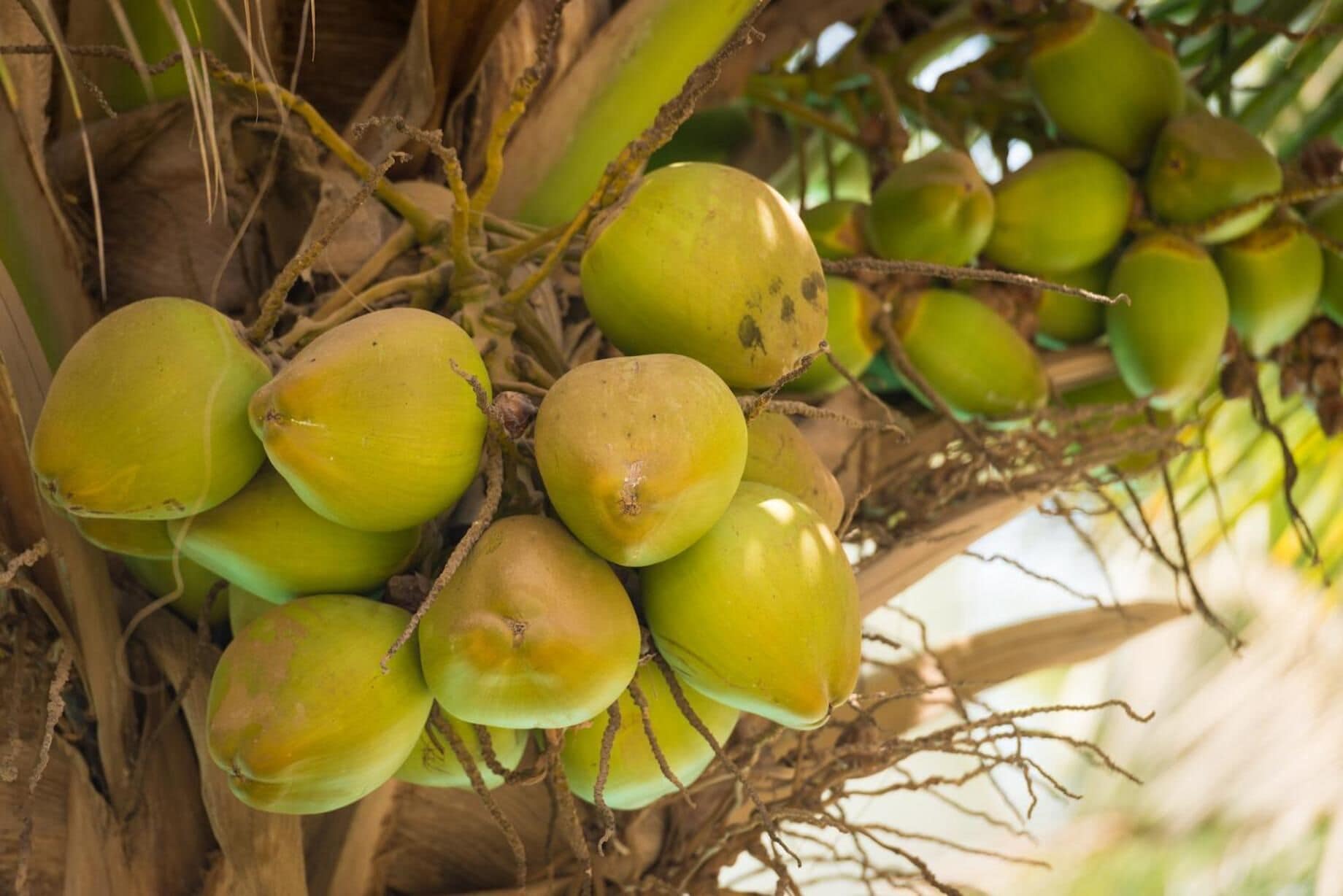 lunch and dinner served, french cuisine