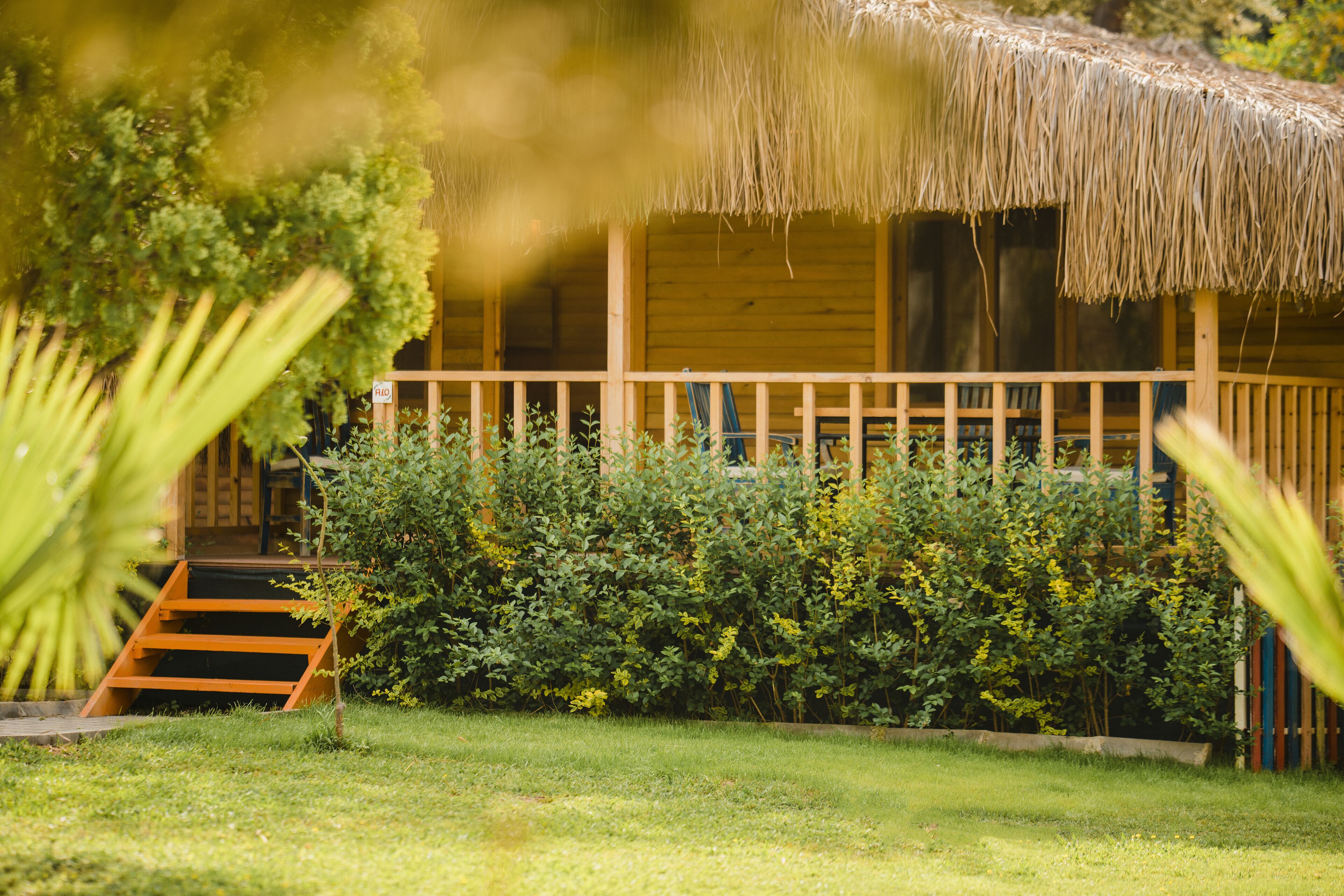 A wooden cabin with a thatched roof, surrounded by lush greenery and a wooden deck.