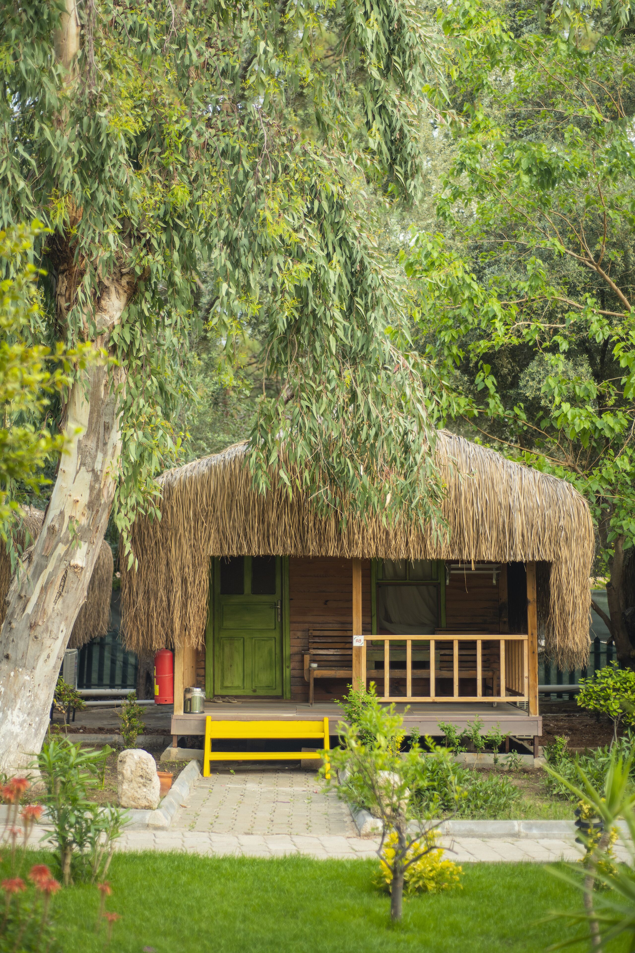 A thatched-roof hut with a green door, wooden benches, and a paved entrance area surrounded by greenery.