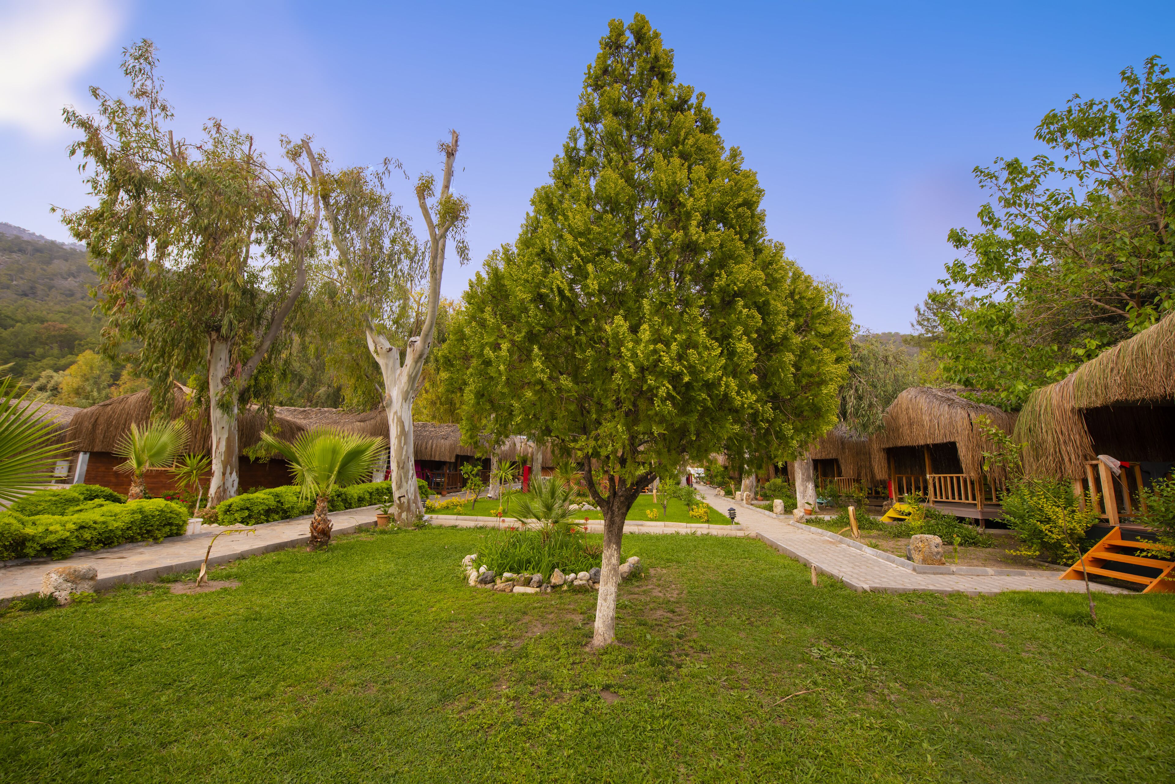 standard bungalow | garden