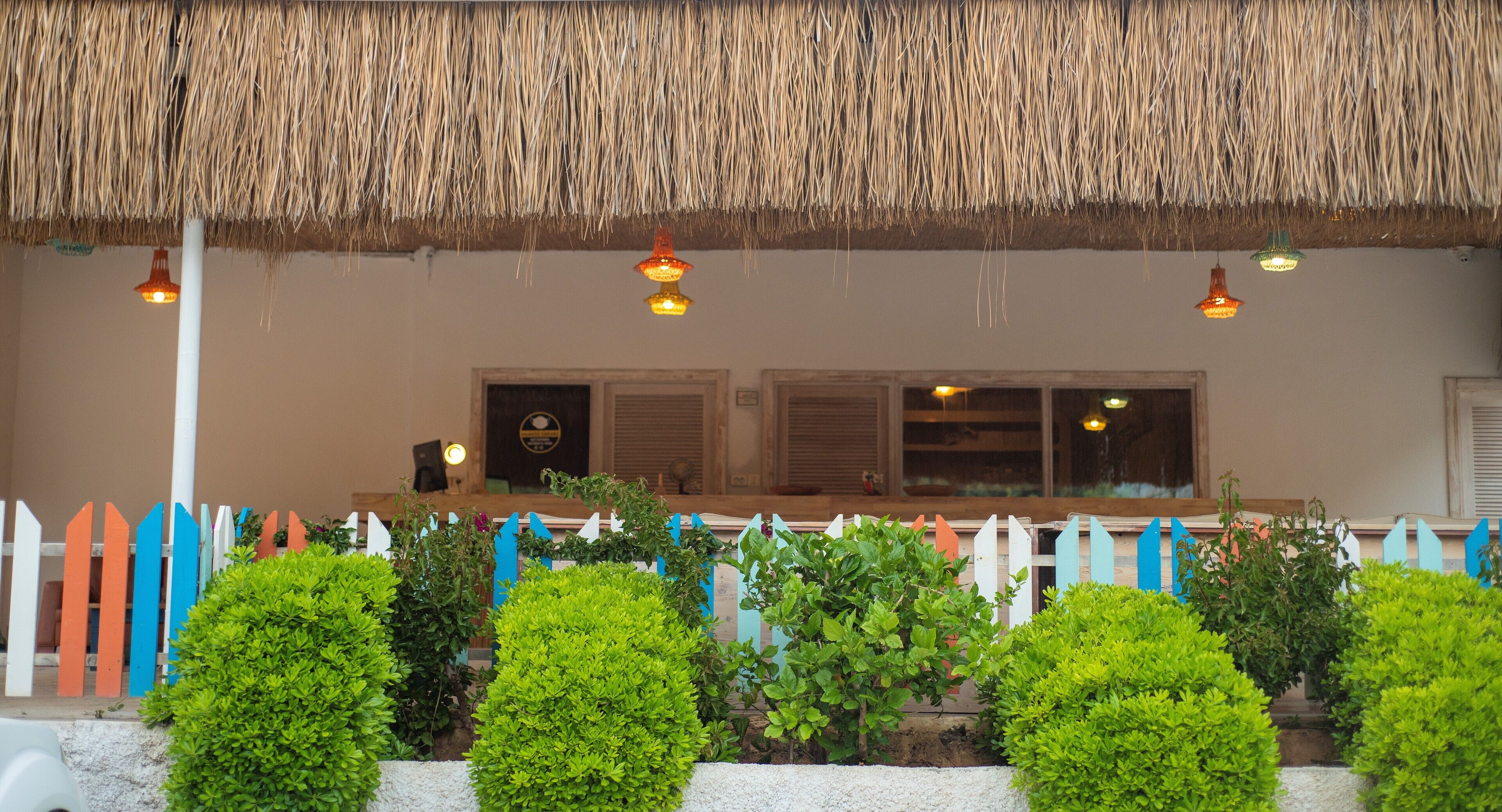 A covered outdoor area with a thatched roof, a white picket fence, and several green bushes.
