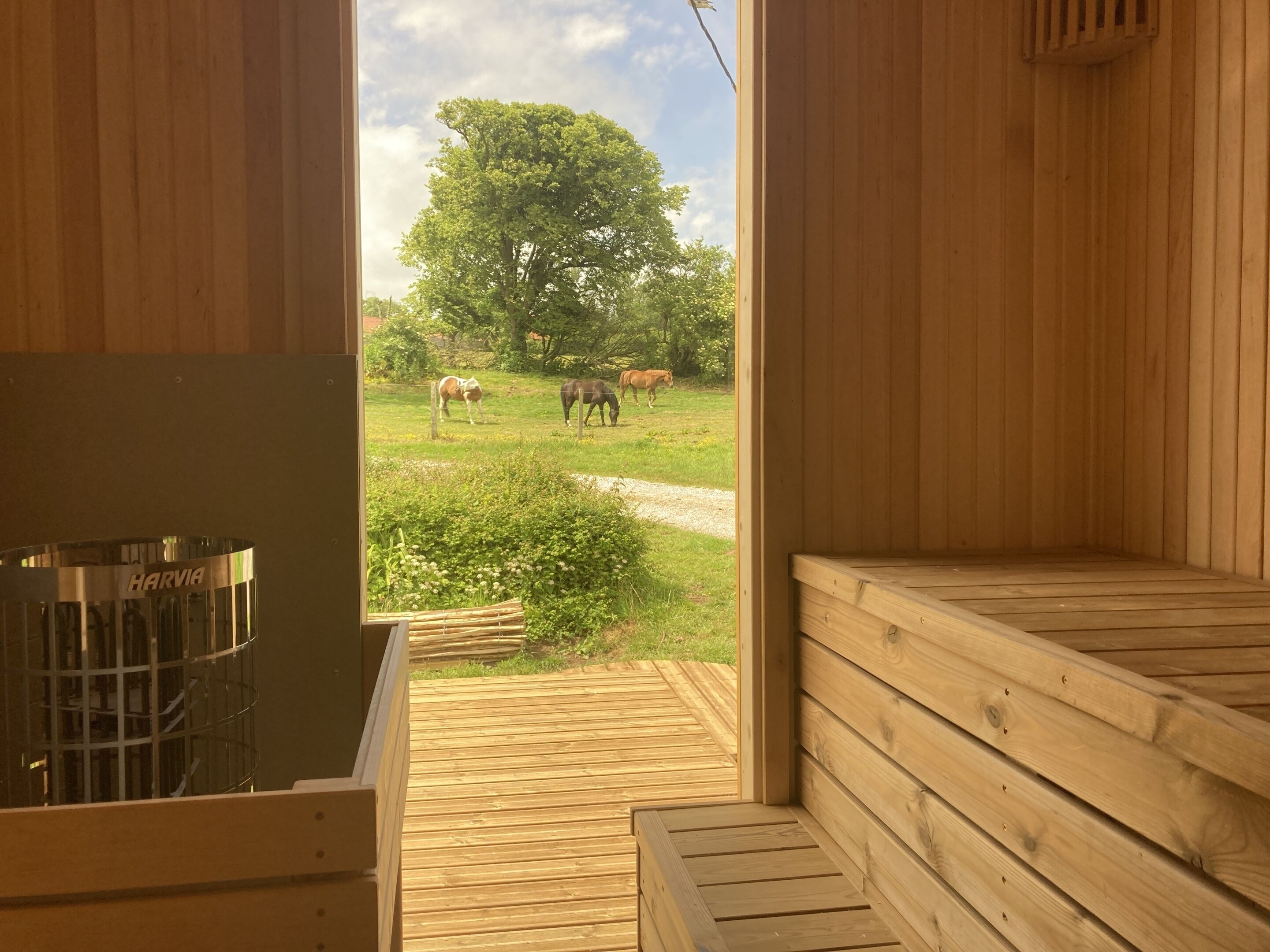 Casa familiar, baño privado, vistas al patio (La Roseraie) | Miscelánea