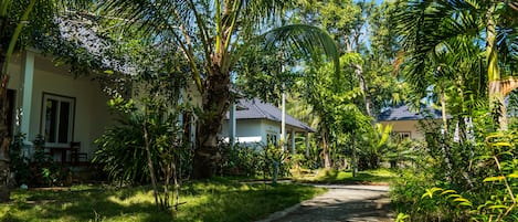 Quang cảnh sân vườn